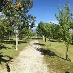 Vila Welcoming Near Penafiel With Pool Abol de Cima
