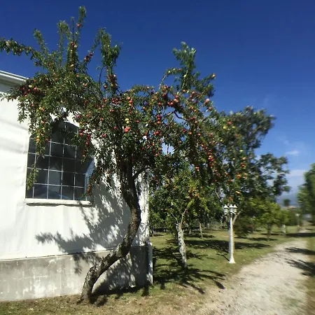 Villa Welcoming Near Penafiel With Pool Abol de Cima