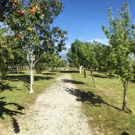 Villa Welcoming Near Penafiel With Pool Abol de Cima
