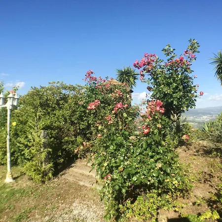 Welcoming Near Penafiel With Pool Abol de Cima