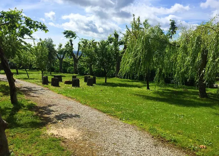 Welcoming Near Penafiel With Pool Abol de Cima