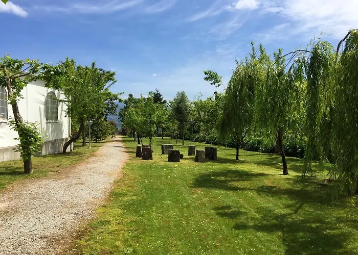 Welcoming Near Penafiel With Pool *