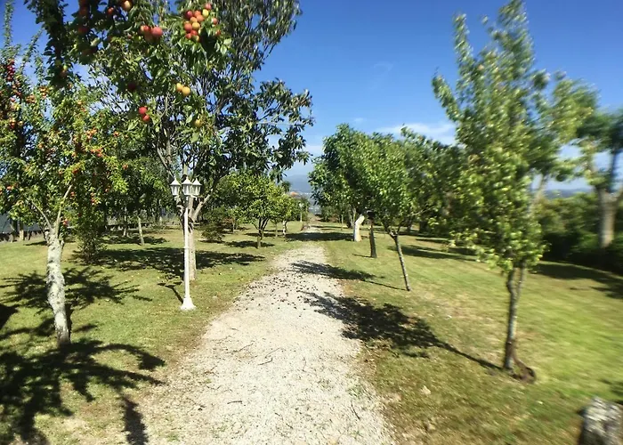 Vila Welcoming Near Penafiel With Pool Abol de Cima