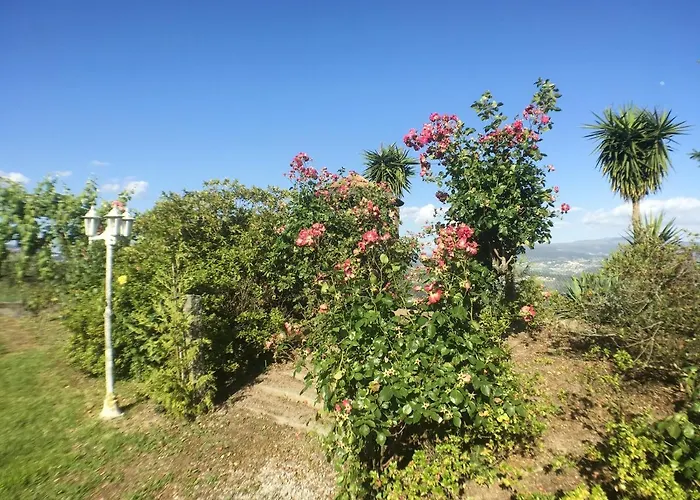 Welcoming Near Penafiel With Pool Abol de Cima